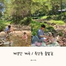 목상동 솔밭길 이미지