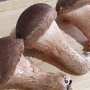 대나무골농장 이미지