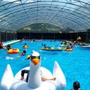 산수목욕탕 이미지