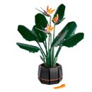 보태니컬 이미지