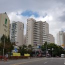 수원-1805 이미지