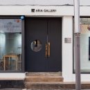 아리아 Ⅰ 이미지