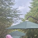 에이블투어㈜ 이미지