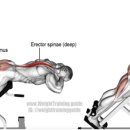 씨티하이퍼 이미지