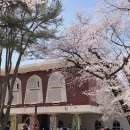 온라인 책사랑방(11월) | 공주 여행 코스 추천｜공산성·충남역사박물관·텐동맛집 후기