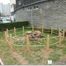 원조파전 이미지