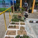 로뎀노인복지센터 | 로뎀나무노인복지센터 화단에 텃밭에 봄이왔어요