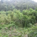 대곡면-5 이미지