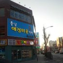 20160718(월) 충남애견미용학원온양아산점/농장강아지수컷말티즈/미니사이즈/작은사이즈/농장견말티즈...