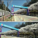 영상농장 이미지