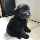 스튜디오크랙 이미지