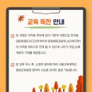 사주명리학(입문) 이미지
