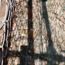 염소우리 이미지