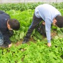 농가맛집뜰 이미지