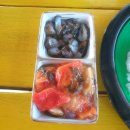 [강원도 동해바다 여행 놀거리] 환승연애 속초 데이트 갈만한 곳 배낚시 추천 청해호배낚시 회포장
