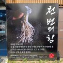 GS25 대전둔산점 | 대전시청역맛집 장원갑칼국수 둔산 갤러리아 타임월드점 주말 점심 웨이팅 후기