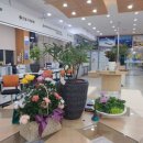 군청 민원과 이미지