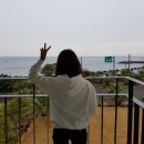 룸엣 155 | 제주도 펜션 추천 , 룸엣155 , 바다뷰에 반해서 다녀왔습니다!