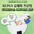 골프존파크 버디스크린 이미지