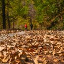 보발재 공중화장실 이미지