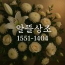 성서병원장례식당 | 안양 메트로병원 장례식장 국가유공자 장례, 이천호국원 안치후기