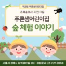성북생명숲어린이집 | 서울 성북 어린이집 - 초록숲에서 자란 마음, 푸른샘어린이집의 숲체험 이야기