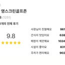 영골프스크린 이미지