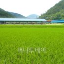 맥우농장 이미지