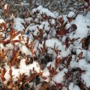 더존스터디학원 이미지