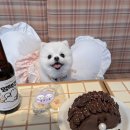 피디유피