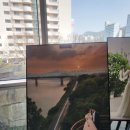 코리아결혼정보 | [Review_1] 삼성 결혼 박람회 방문 및 계약 후기 👰🏻‍♀️🤵🏻🤍💙