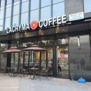 3XL COFFEE(3xl 커피)