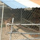 회우목장 이미지