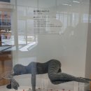 해리하다 이미지