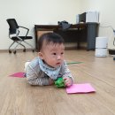 도담군의 9개월 이야기