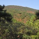 2025.11.9 장산단풍,억새밭,광안리해수욕장 이미지