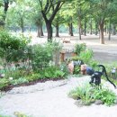 상훈축산 이미지