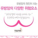 유방암 4기 증상 생존율은? 발병 원인 이미지