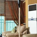 100세동안 사당점 이미지