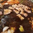 돼지우리불났네 이미지