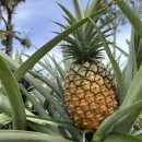 서해건강마을 이미지