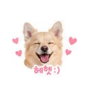 (주)라아 | 26년 4월-5월 일상
