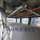 강서구-75 이미지
