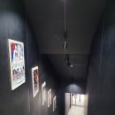 팀 해명 짐 이미지