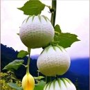 화요일.<b>카톡</b>인사