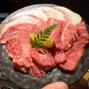 니꾸바키라 | 분위기 가성비 다 잡은 연말데이트 맛집, 니꾸바키라 내돈내산 후기