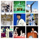 용인대 시선 태권도장 이미지