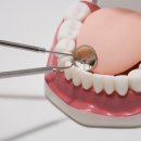 검배로6번길 이미지