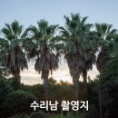 K-수리남 | 영화 수리남 뉴진스 MV 촬영지, 제주 서귀포 안덕 에이디디코리아 조경공사 방문기