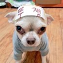 (주)별다섯 | 다섯 끼 금식기도 후기 (2025.12.22~24.)